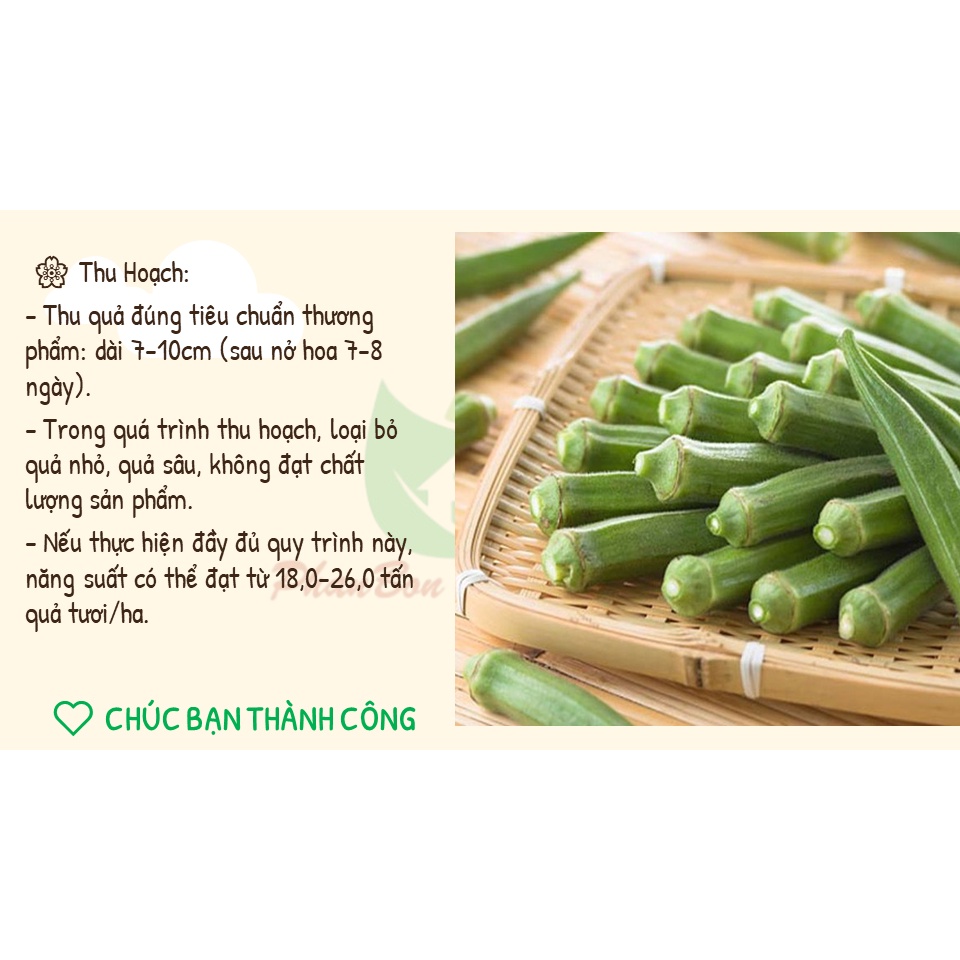 Hạt Giống Đậu Bắp 5 Cạnh , Đậu Bắp PN816 - Phú Nông Seeds - Gói 10g