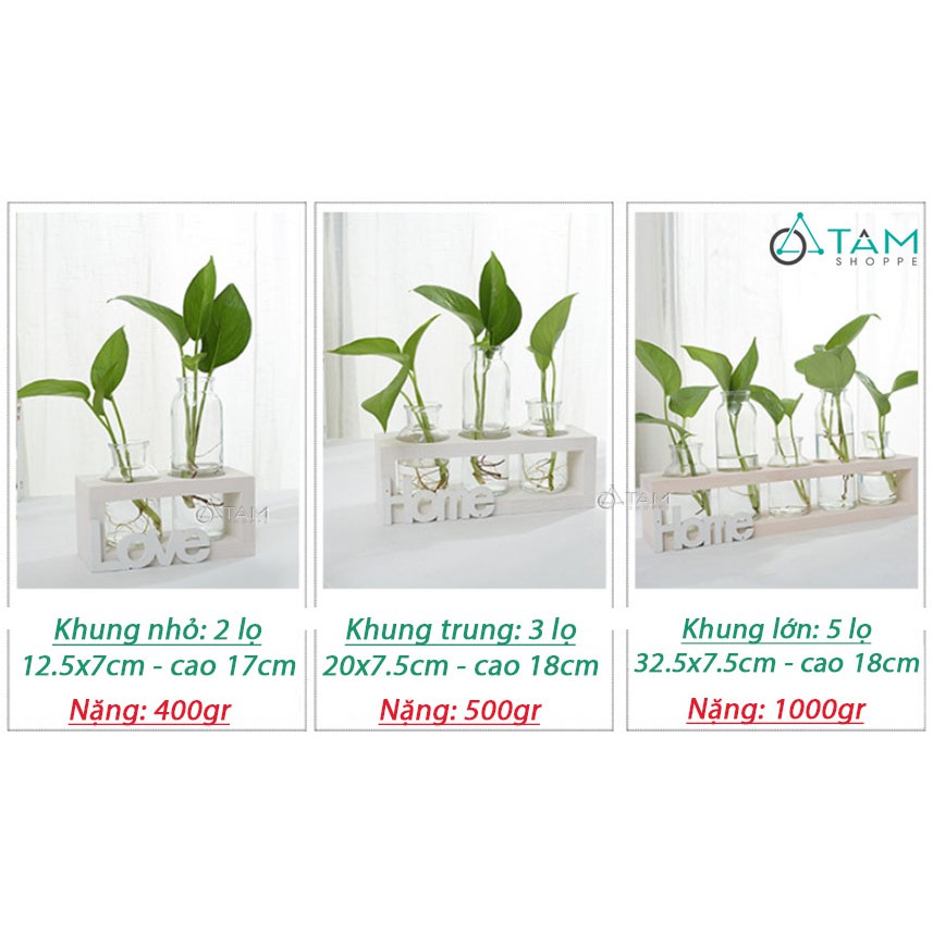 Bộ khung gỗ lọ thủy tinh cắm hoa số 74