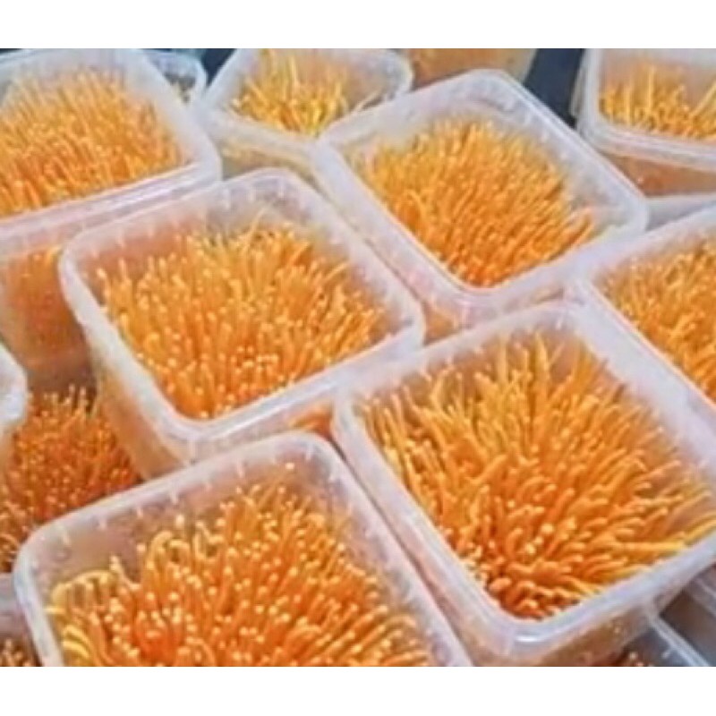 Đông trùng hạ thảo tươi 200g, nấm trùng thảo, PP Sâm Yến Thái An | BigBuy360 - bigbuy360.vn