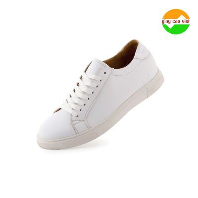 GIÀY CAO SNEAKER THỂ THAO TRẮNG, CAO 5cm, GV018