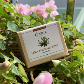 KEM NÁM ĐÊM Themis cabitin