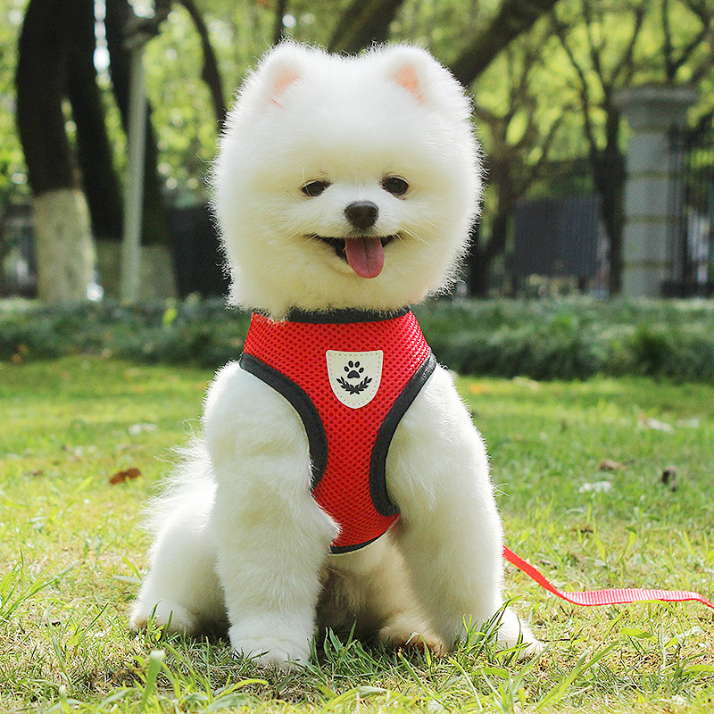 Hipidog Bộ áo lưới + dây dắt HiPiDog kiểu dáng dễ thương cho thú cưng