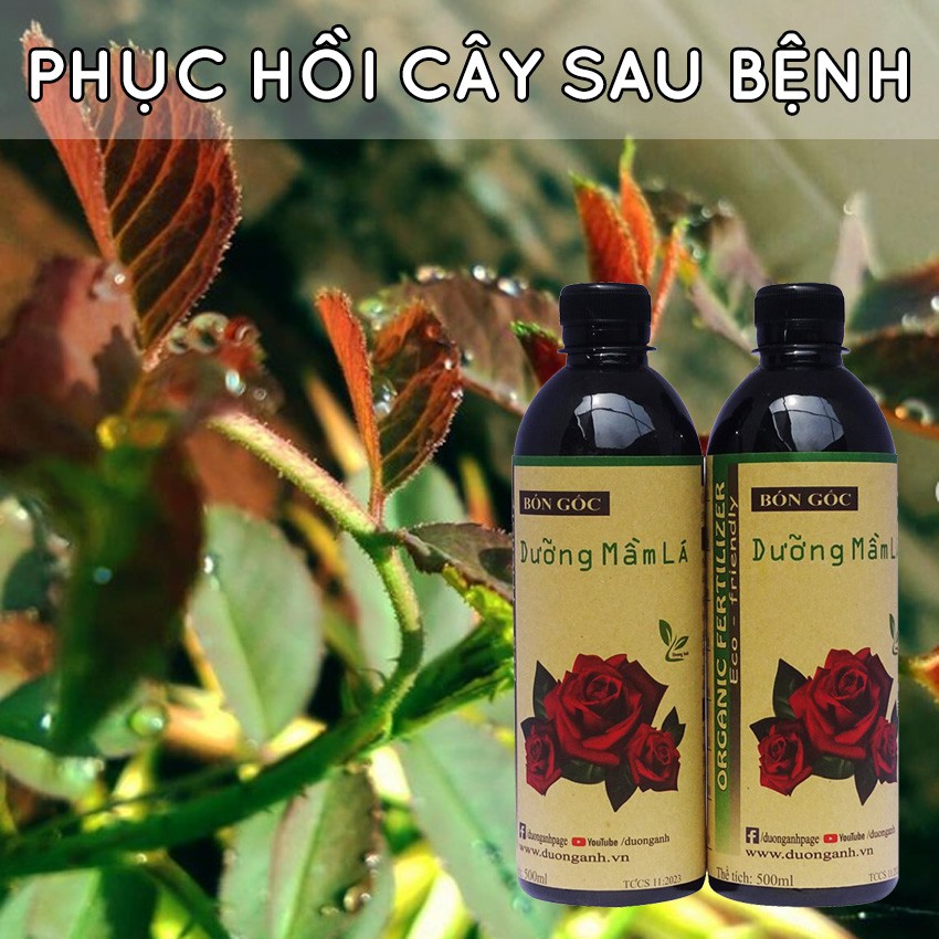 Phân bón Dưỡng mầm lá DOCNEEM kích rễ dưỡng mầm hoa, hồi phục sau cắt tỉa, sâu bệnh, duy trì dưỡng chất chai 500ml