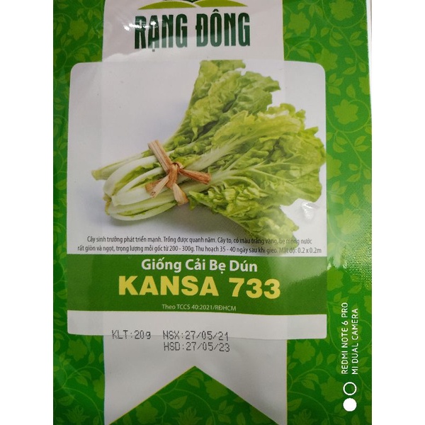 Hạt giống Cải bẹ dún Nhật Kansa 20gr