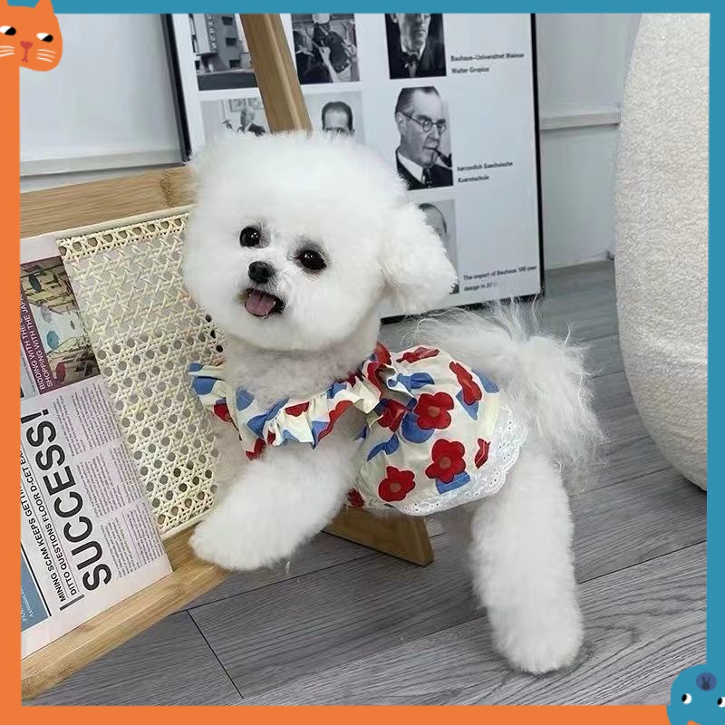 Đầm Ren Hoa MùA Hè Cho Thú Cưng