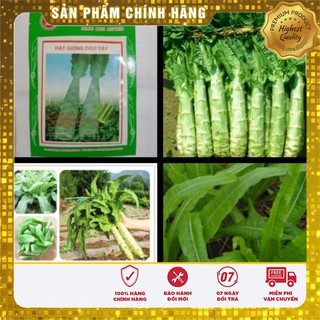 Hạt Giống Rau Diếp Tây (1gr)