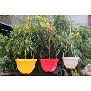 COMBO 10 CHẬU TREO BÁT GIÁC.