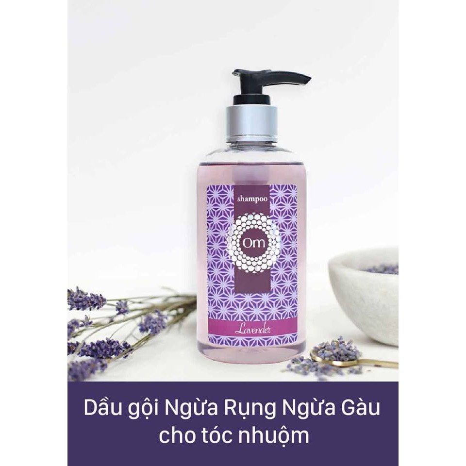 Dầu gội Lavender Om Fountain Trị Gàu, Trị Rụng Tinh Dầu Oải Hương (dành cho tóc nhuộm)