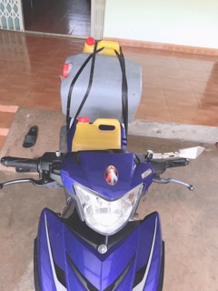 Mật ong hoa cà phê 100%tự nhiên