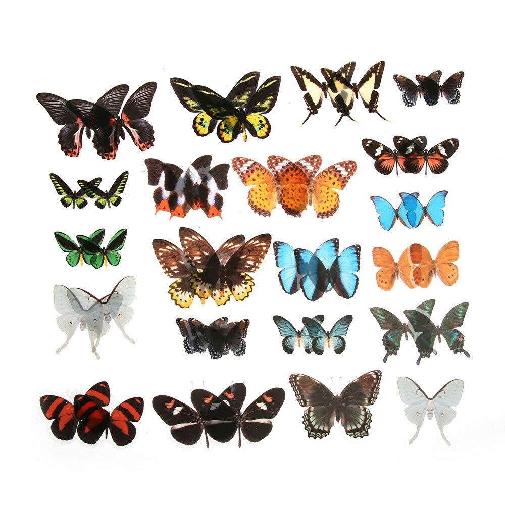 Bộ 40 Miếng Dán Hình Bươm Bướm Trang Trí Sổ Lưu Niệm