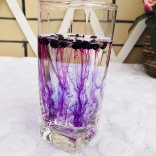 Trà hắc kỷ tử đen 100g
