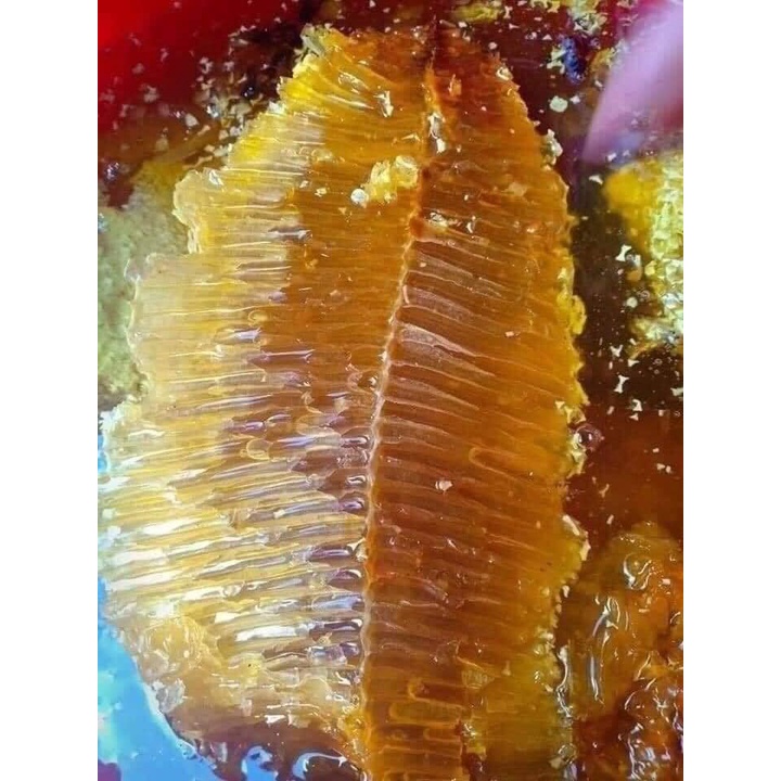 Mật ong nguyên chất, mật ong nuôi thả trên rừng tự nhiên, 100% tự nhiên, siêu khuyến mại 150000 VNĐ/0.5Lit