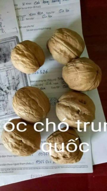  Óc chó mỹ nhân tim nhập khẩu chính hãng 1kg