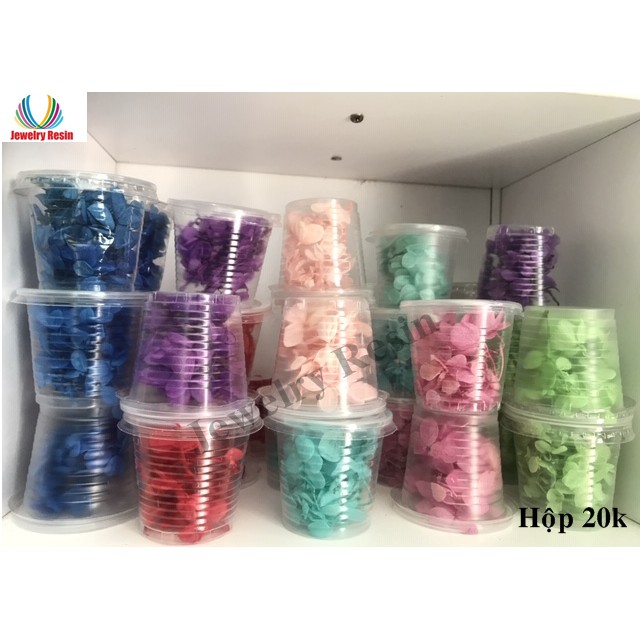 Hoa Khô Cẩm Tú Cầu