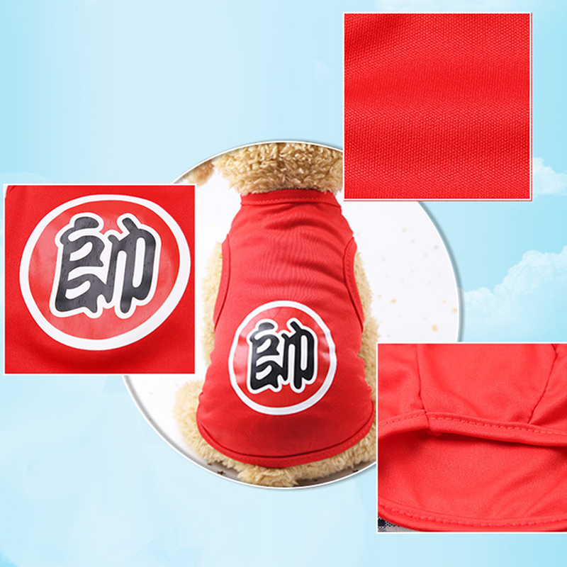 Áo Thun Dễ Thương Cho Thú Cưng