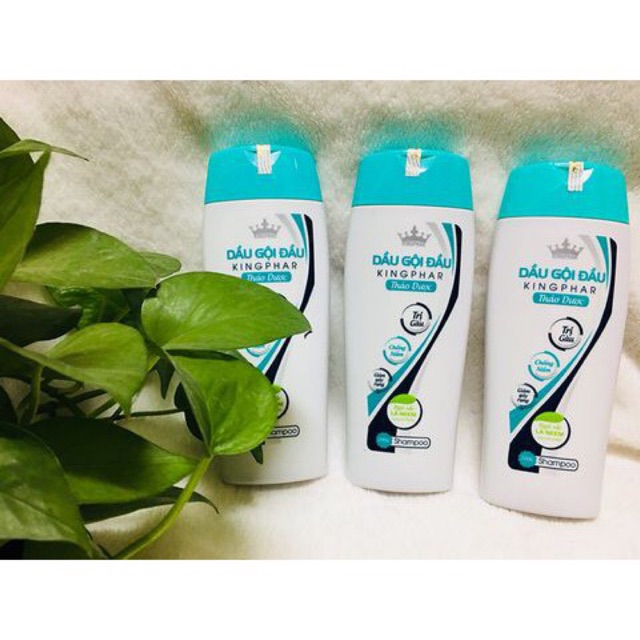 Dầu gội sạch gàu rụng tóc KINGPHAR