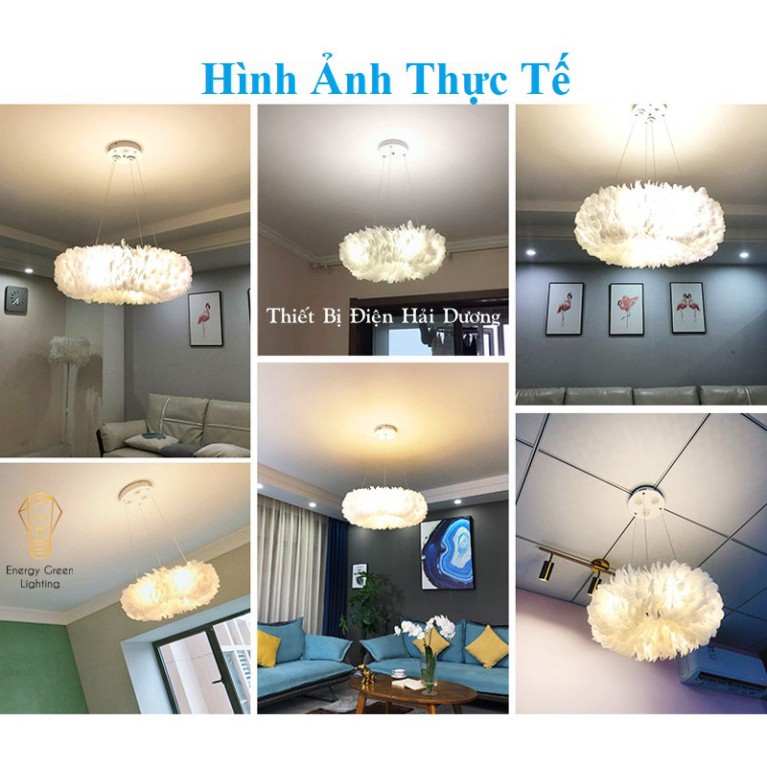 Đèn Chùm Lông Vũ Vòng Tròn 80cm Phong Cách Bắc Âu Decor Lighting với 3 Chế Độ Ánh Sáng  Đã Bao Gồm Bóng