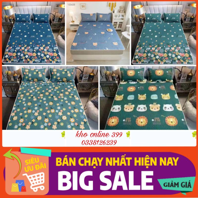 [RẺ VÔ ĐỊCH] chiếu điều hòa cao su non, chiếu điều hòa tencel latex mủ cao su non m6, m8, 2m2, chăn ga gối nệm
