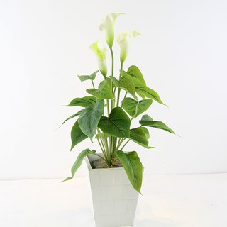 Cụm hoa Rum Lily cao su xịn trang trí