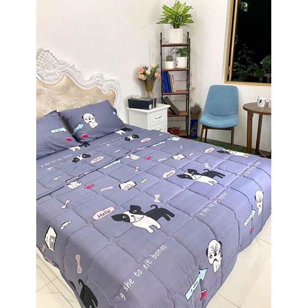 Ga chun  + 2 vỏ gối đầu cotton đũi m6 m8 | BigBuy360 - bigbuy360.vn