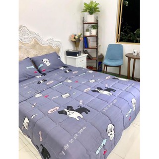 Ga chun + 2 vỏ gối đầu cotton đũi m6 m8
