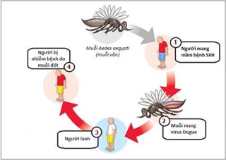 Máy đuổi muỗi tinh dầu Nhật