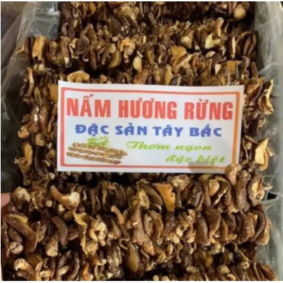  500g Nấm Hương Rừng Sapa