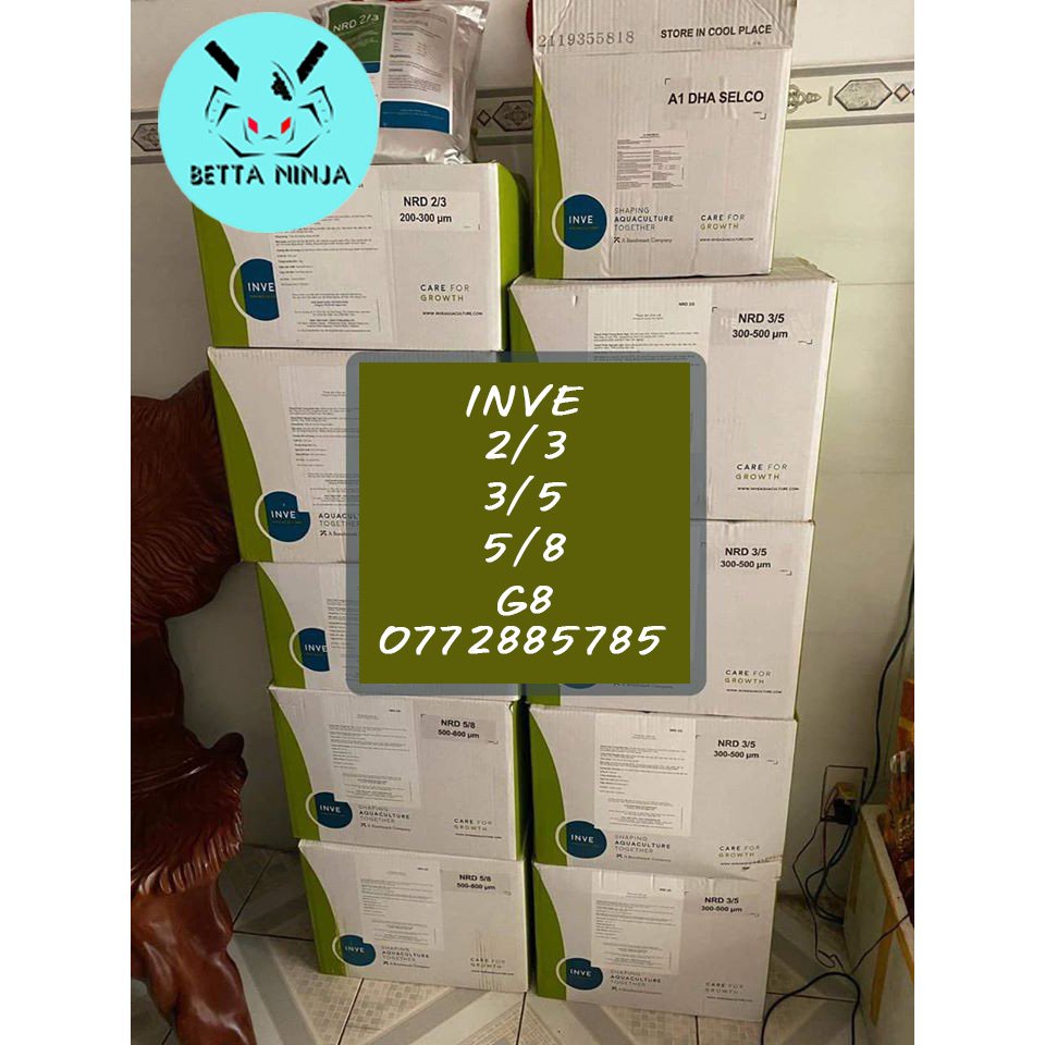 Cám Thái INVE 3/5 5/8 G8 | 500g 1kg ]