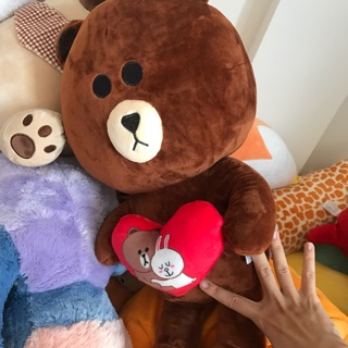Gấu Brown om tim