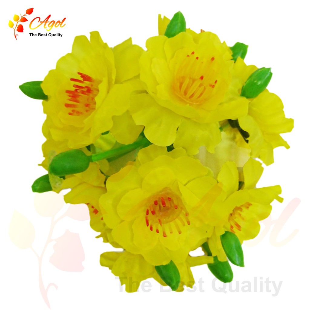 20 chùm hoa mai,1 chùm gồm 3 bông + 3 nụ