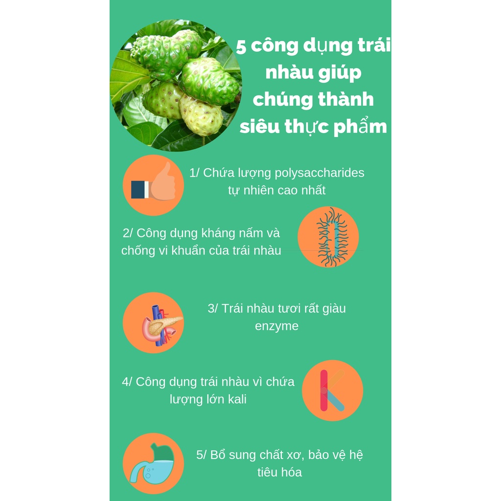 Bột Nhàu  chai nhựa 500g bột