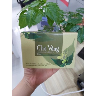 Chè Vằng/ Trà Vằng  - Viện dược liệu TƯ - lợisữa giảmcân