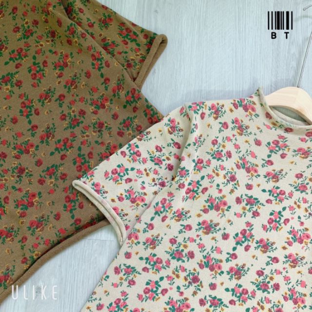 Áo thun hoa nhí cao cấp