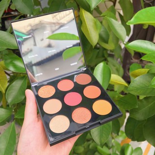 Bảng mắt Morphe 9D Painted Desert Artisry 9 ô