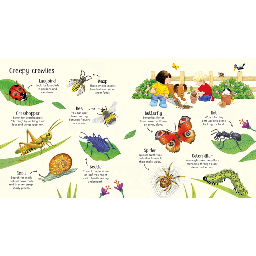 Sách Usborne - Poppy and Sam's Nature Spotting Book - học tiếng anh qua thiên nhiên