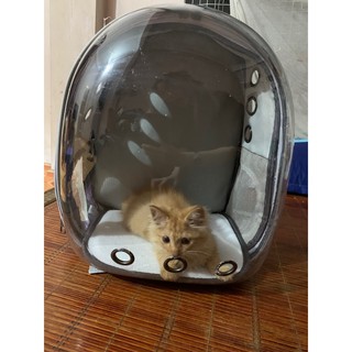 Ba lô đựng thú cưng chó mèo trong suốt