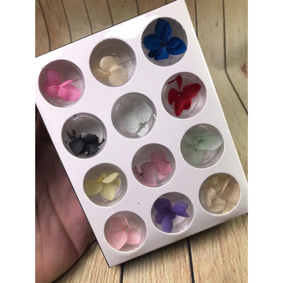 Phụ kiện trang trí móng tay hoa khô cánh to - set 12 màu