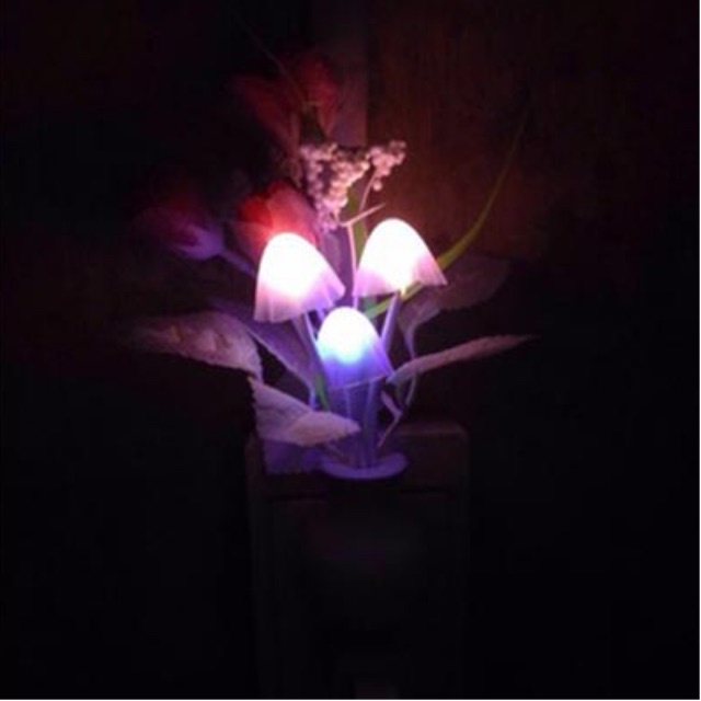Đèn ngủ cảm ứng nấm chùm và hoa hồng Led Thành Phát