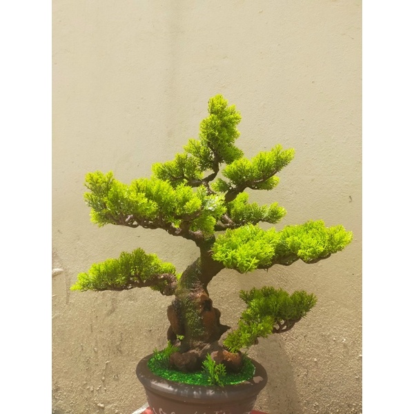 Gốc cây bonsai, thân cây bonsai dáng trực huyền, huyền đổ, làm hoa mai đào handmade