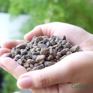 Đá Bọt Núi Lửa - Đá Pumice CATLEZA Trộn Đất Trồng Cây - Túi 1 Lít