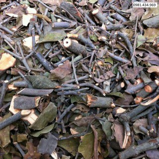 01kg tầm gửi gạo khô