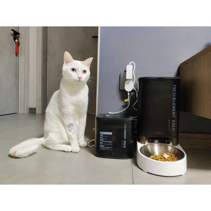 Máy thức ăn tự động Petkit Fresh Element Solo cho chó mèo