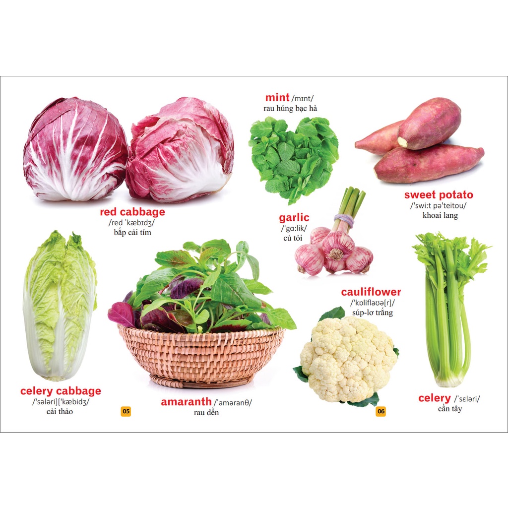 Sách Từ điển bằng tranh - Rau củ quả (tái bản)
