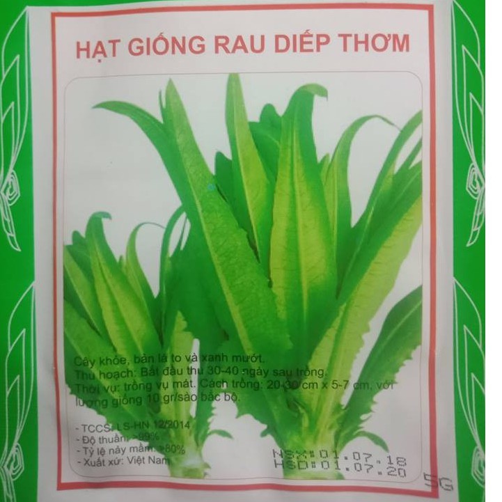Hạt Giống Rau Diếp Thơm (Gói 5gram )- STHG1
