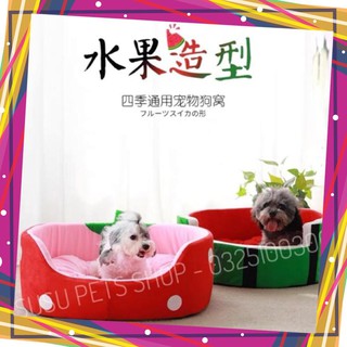 Ổ đệm nằm cho thú cưng hình trái cây 🍉🍓