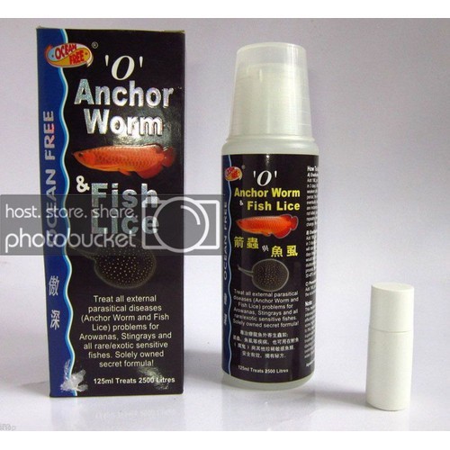 Chai Số 0 Cá Rồng Hình Con Cá Rồng