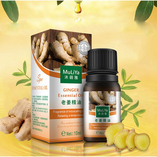 Lọ 10ml tinh dầu gừng,ngải cứu,hoa hồng,lavander