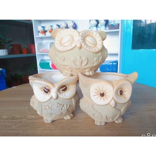 Chậu trồng sen đá _ Chậu cú