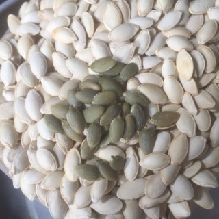 Combo 2kg hạt dưa, hạt bí