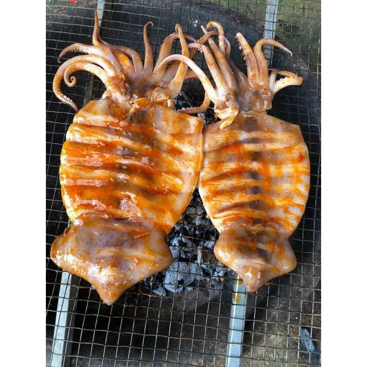 [hcm-hỏa tốc] mực toco 1 nắng hàng ngon 1kg - nuongfood